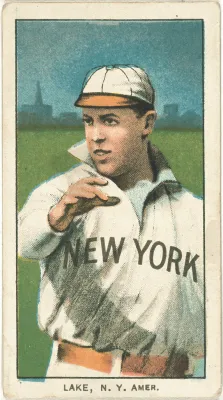 Joe Lake