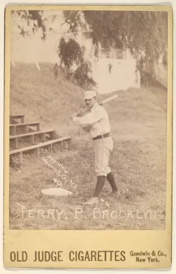 Adonis Terry